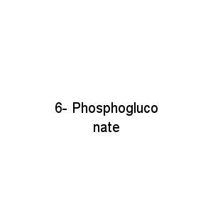 6- Phosphogluconate